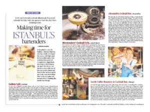 Hindu - Drinking in Istanbul